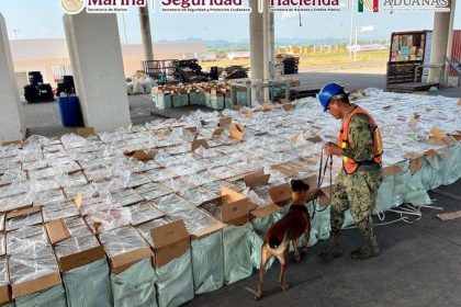Seguridad