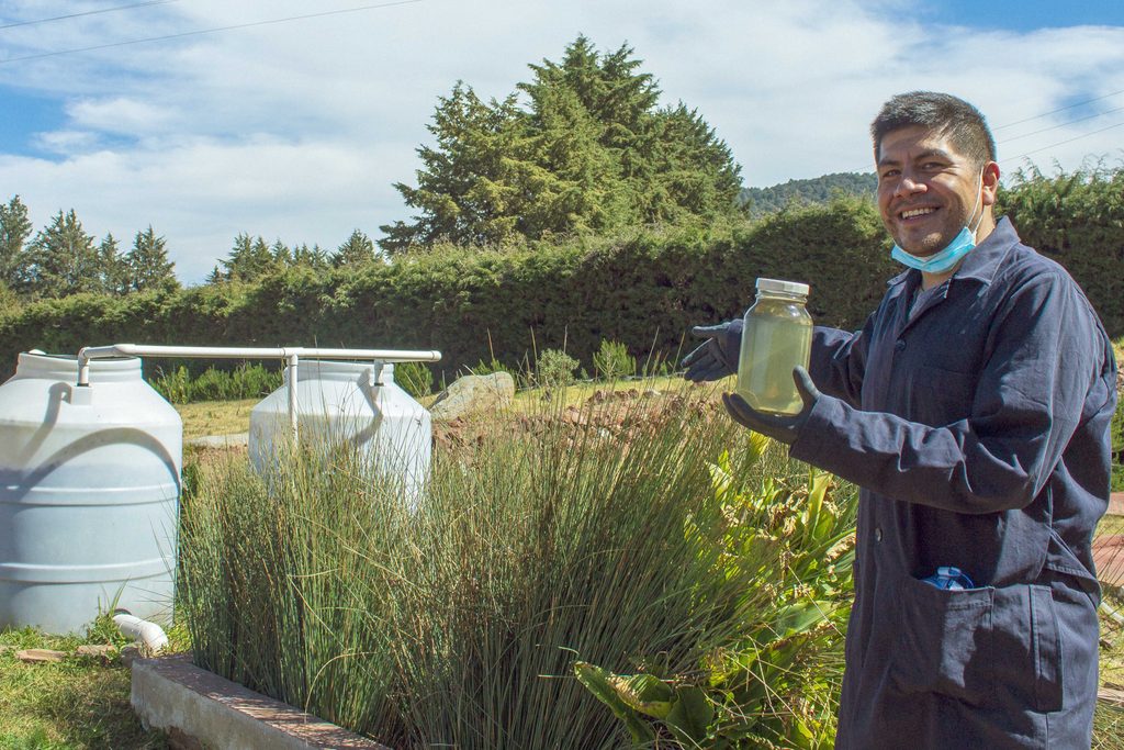 El Lombrifiltro trata aguas grises provenientes de sanitarios y regaderas usando principalmente lombrices rojas, así como plantas y otros microorganismos.